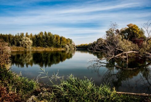 Environmental & Social Governance